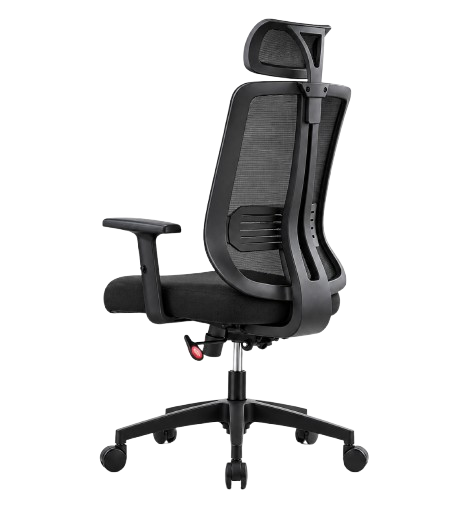Spinal Chair